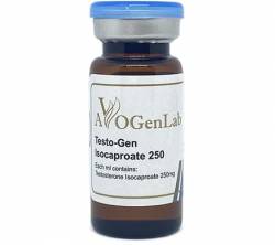 Testo-Gen Isocaproate 250 mg (1 vial)